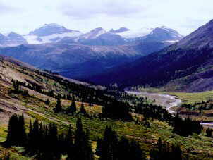 View from Jonas Pass