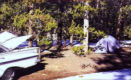 Halfmoon Creek Campsite