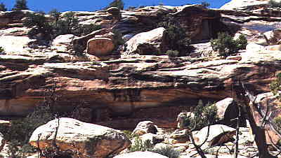 Ruin at the end of Step Canyon