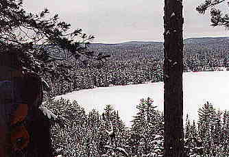 Dave looks out on Provoking Lake