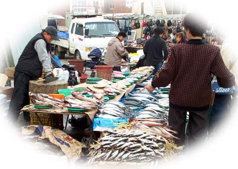 Songtan Fish Market