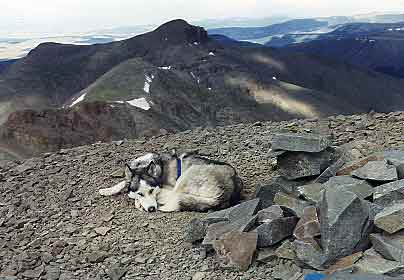 Sam rests on summit