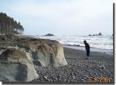 Pacific Ocean beach near Kalaloch