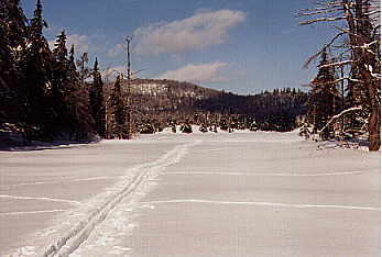 Ski tracks